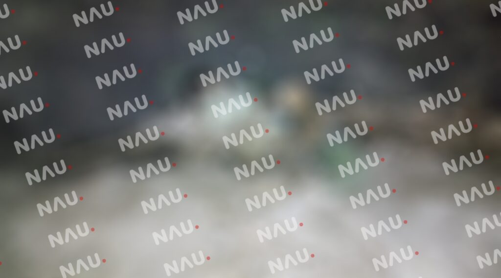 En una riña matan a una persona en Suchiate a balazos