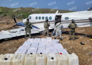 Aseguran Avioneta y 750 Paquetes con Presunta Droga en Acapetahua