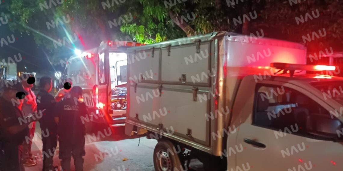 Muere una persona al caerle un trozo de árbol que cargaba en un vehículo