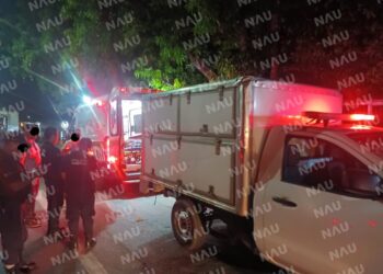 Muere una persona al caerle un trozo de árbol que cargaba en un vehículo