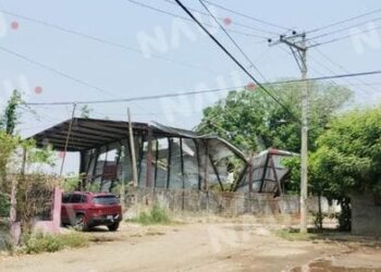 Árbol de ceiba cae sobre techado de una escuela en la colonia Emiliano Zapata