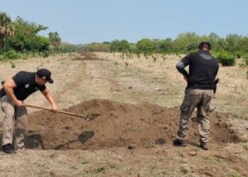 EN CHIAPAS LA FGR Y SEDENA INHABILITAN PISTA CLANDESTINA EN PIJIJIAPAN, CHIAPAS