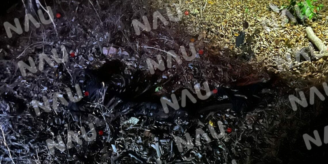 Localizan restos humanos en la zona baja de Tapachula