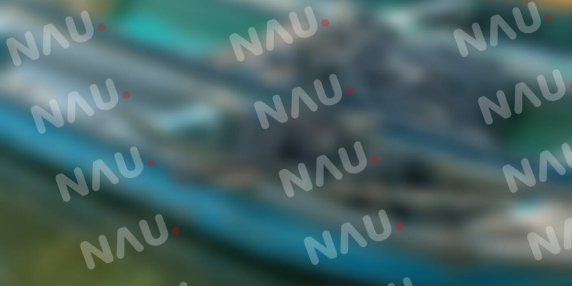 Pescador se asfixió con el humo de un incendio forestal en la zona baja de Villa Comaltitlán.