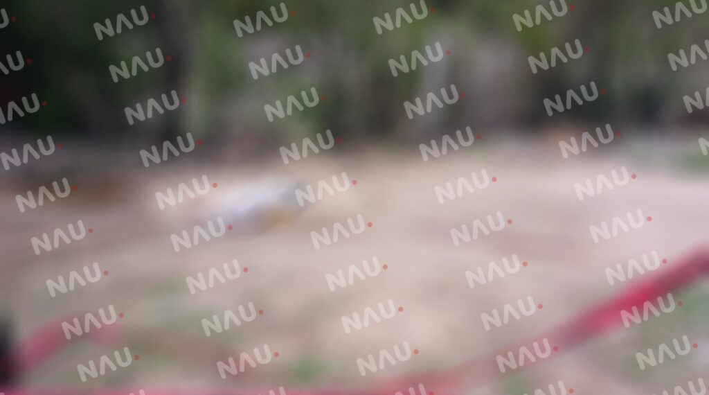 Asesinan de dos balazos a una mujer en Motozintla