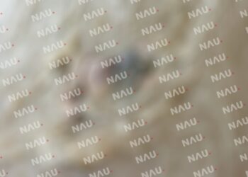 Localizan cuerpo sin pies y manos en la segunda sección de Guillén de Tuxtla Chico