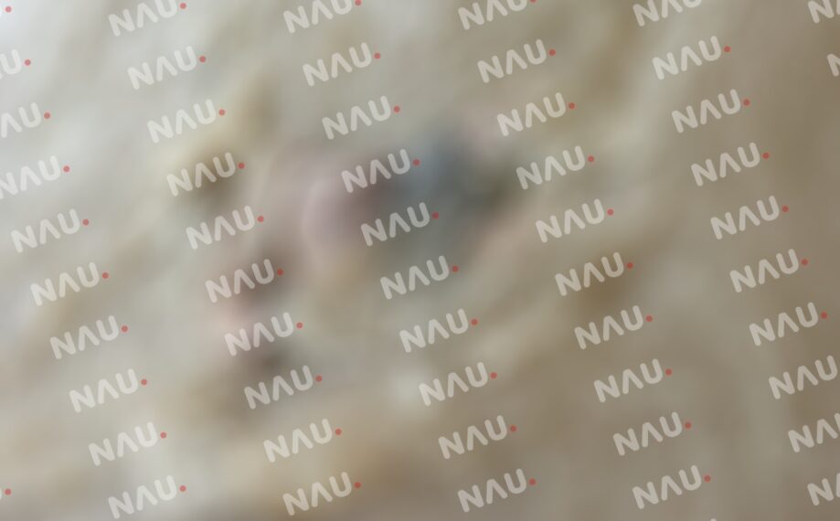 Localizan cuerpo sin pies y manos en la segunda sección de Guillén de Tuxtla Chico