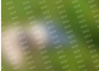 Entregan el cuerpo de mujer Mexicana a sus familiares