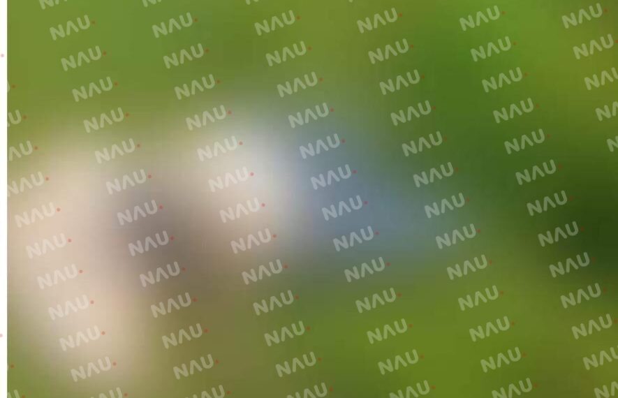 Entregan el cuerpo de mujer Mexicana a sus familiares