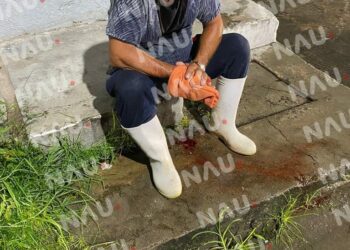 Cayó de su propia altura y fue atendido por PC de MAPASTEPEC