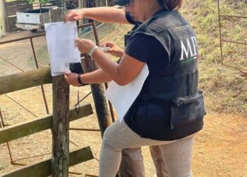 EN CATEOS FGR ASEGURA EN CINCO INMUEBLES ARMAS, NARCÓTICOS, VEHÍCULOS Y DETIENE A DOS PERSONAS