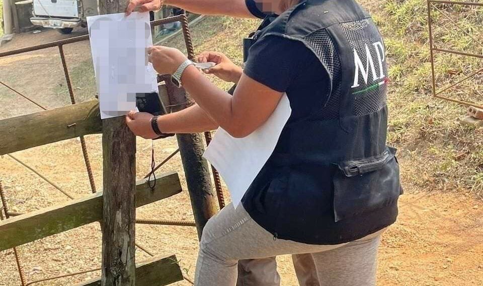 EN CATEOS FGR ASEGURA EN CINCO INMUEBLES ARMAS, NARCÓTICOS, VEHÍCULOS Y DETIENE A DOS PERSONAS