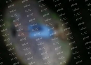 Asesinan a machetazos a un campesino en Huixtla.