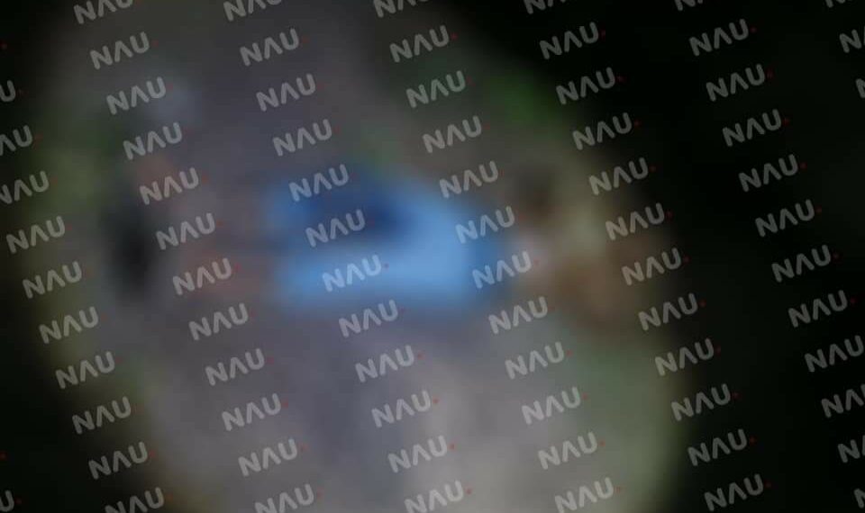 Asesinan a machetazos a un campesino en Huixtla.