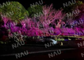 Muere mujer al ser embestida por un vehículo