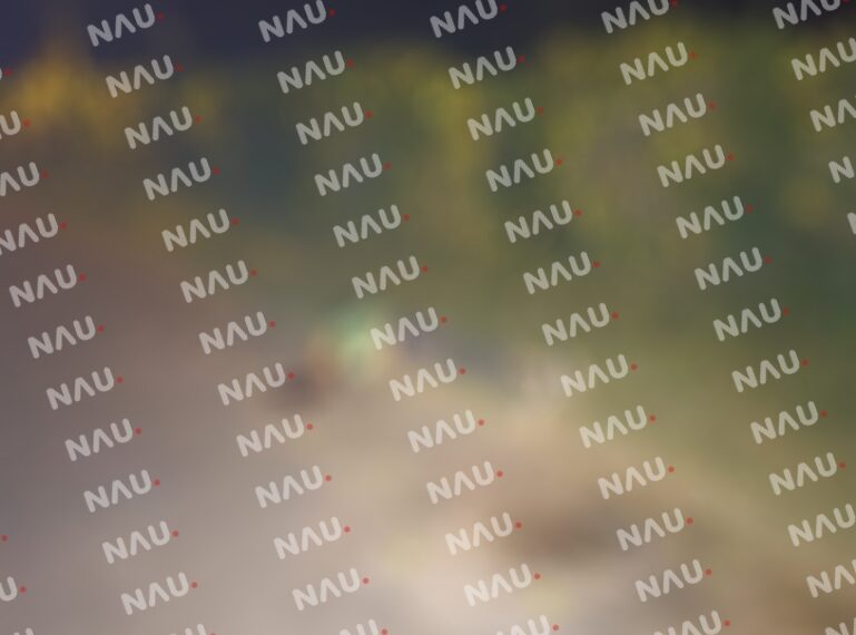 Su pareja la mató de tres balazos