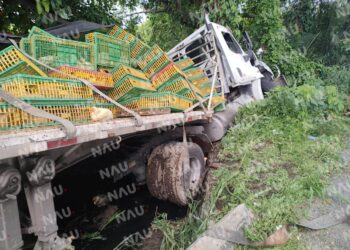 Se llevaron los pollos luego de volcarse un tráiler