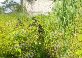 Buscan a una menor de 11 años