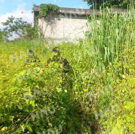 Buscan a una menor de 11 años