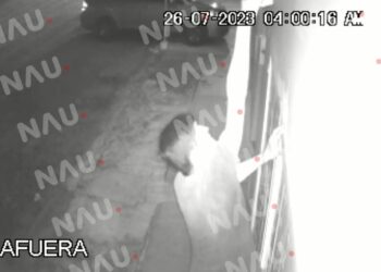 “Vídeo” Capta cámara de seguridad a sujeto que se roba los focos