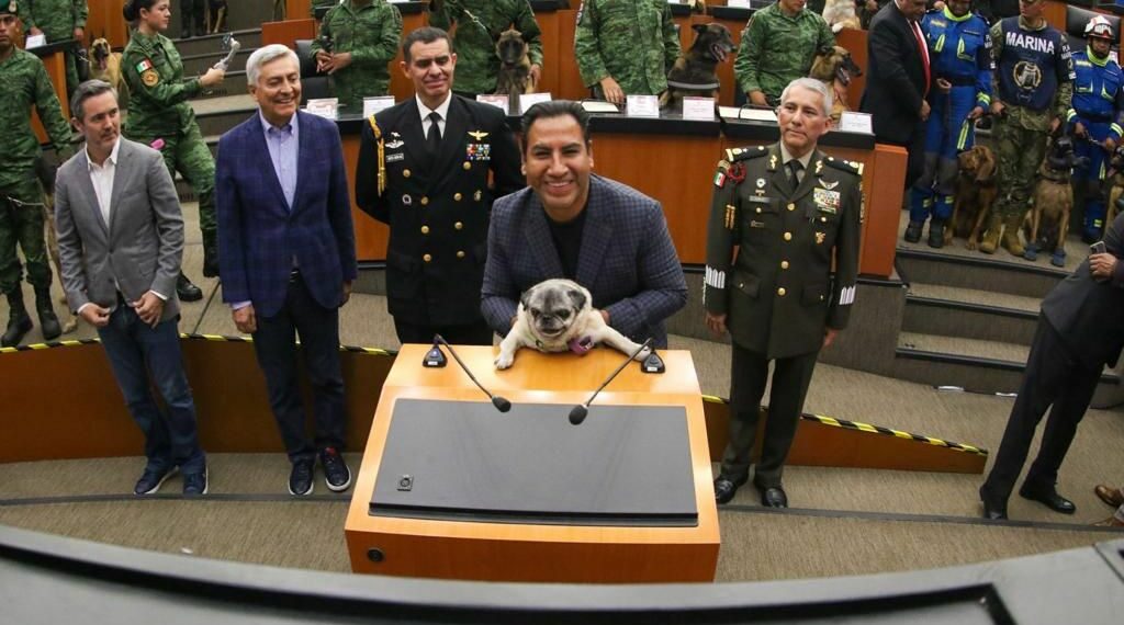 Prepara Eduardo Ramírez reforma constitucional para proteger a los animales