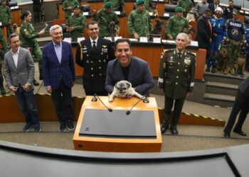 Prepara Eduardo Ramírez reforma constitucional para proteger a los animales