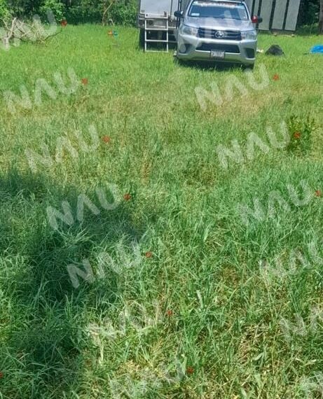 Reportan tráiler con olores fétidos