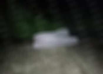 Asesinan a machetazos a una persona en Tuzantán