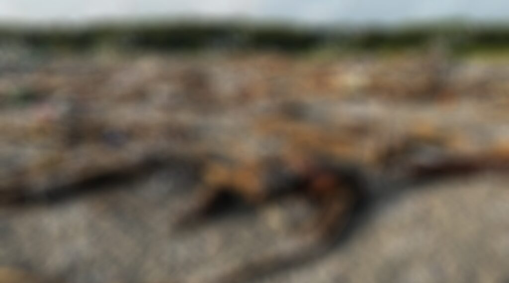 Localizan cuerpo putrefacto de una persona en la Barra Cahoacán