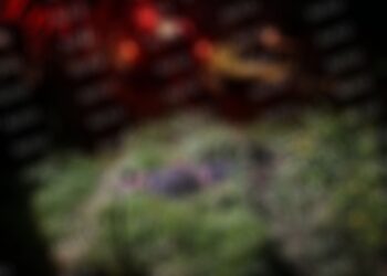 Mueren dos indigentes