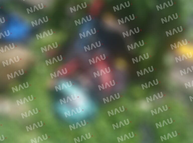 Muere motociclista en accidente