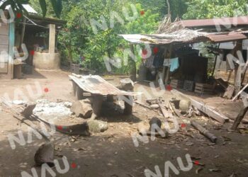 Menor de 7 años intenta acabar con su existencia