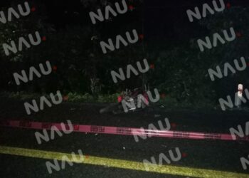 Muere joven motocilista al chocar contra un equino