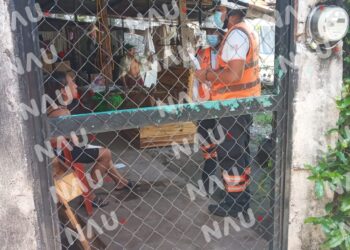 Perro mordió a dos personas