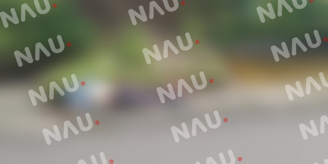 Lo atropelló un vehículo que se dio a la fuga