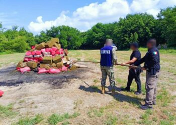 INCINERA FGR MÁS DE UNA TONELADA DE NARCÓTICO EN TAPACHULA, CHIAPAS