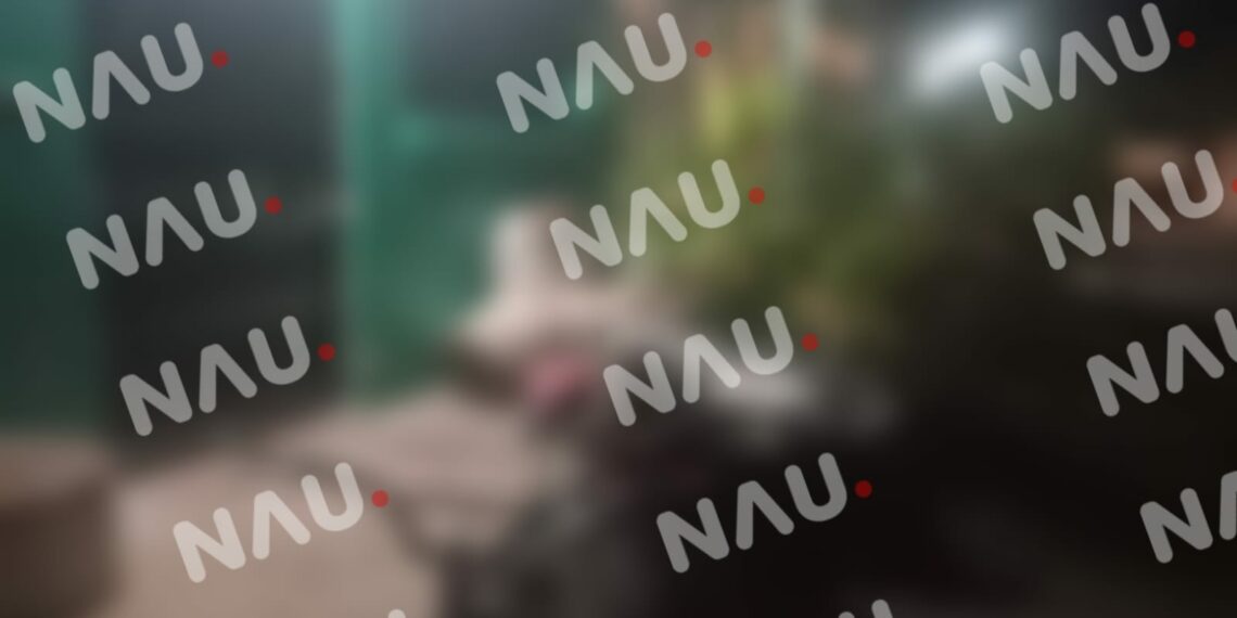 Les dispararon por no pagar una deuda de dinero