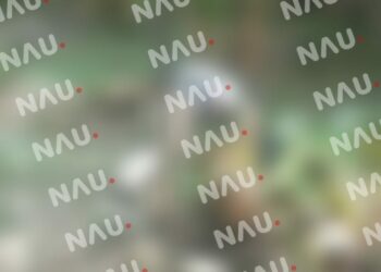 Matan de 14 balazos a la hormiga en Suchiate