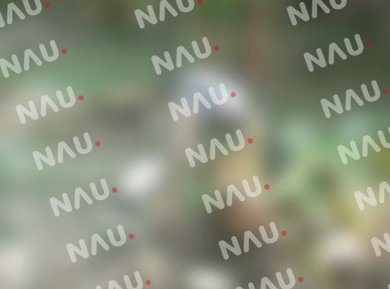 Matan de 14 balazos a la hormiga en Suchiate