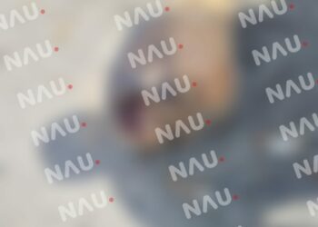 Sin manos, piernas ni cabeza apareció en la playa el gancho