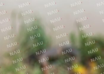 El cuerpo de las dos personas localizadas en el río Suchiate podrían ser cubanos