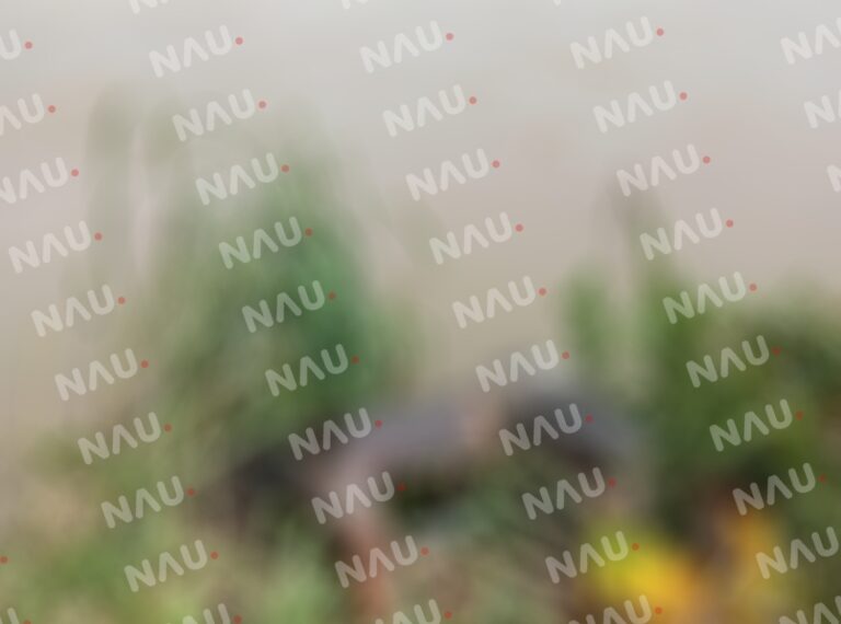 El cuerpo de las dos personas localizadas en el río Suchiate podrían ser cubanos