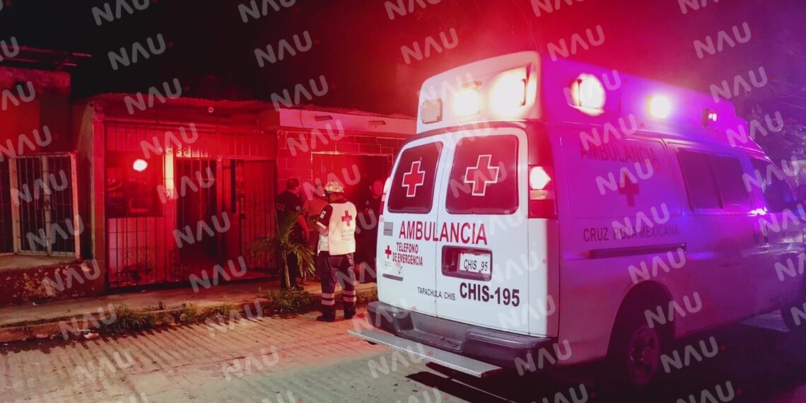 Pitbull ataca a un menor de 10 años