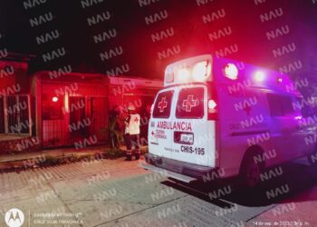 Pitbull ataca a un menor de 10 años