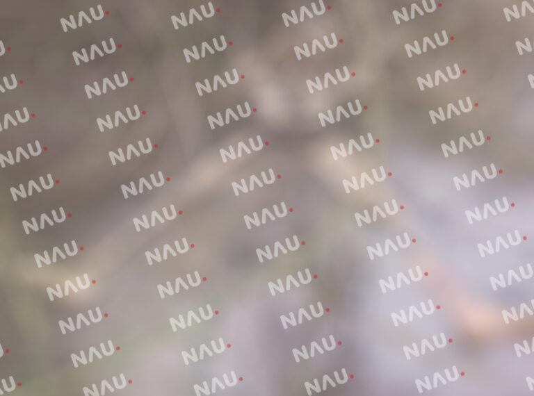 Localizan una osamenta en Suchiate