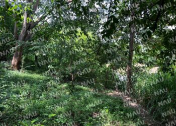 Lo asesinaron a cuchilladas en Frontera Hidalgo