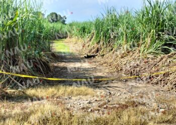 Asesinan a una persona rumbo al cantón Playa Grande