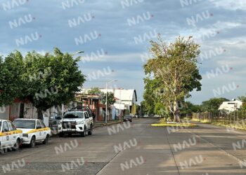 Muere migrante haitiano al ser atropellado en el par vial