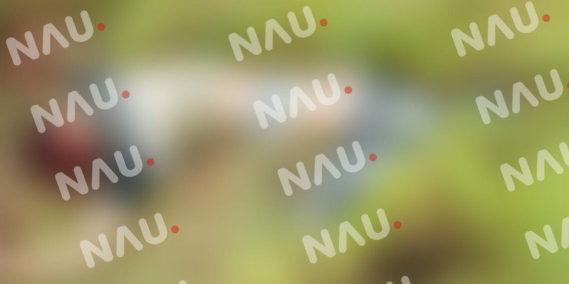 Asesinan al “Ajo” en Suchiate