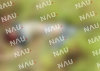 Asesinan al “Ajo” en Suchiate